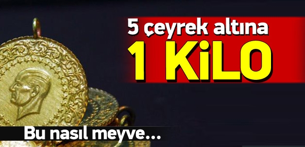 haber resim