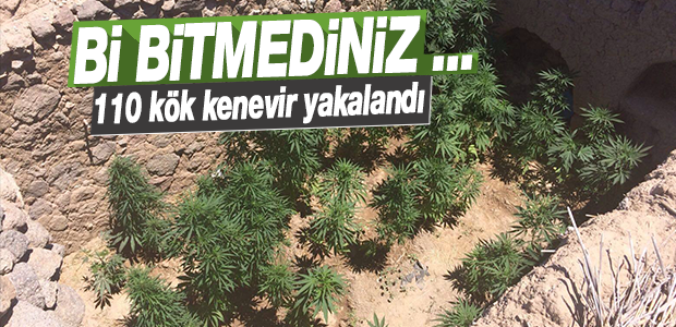 haber resim
