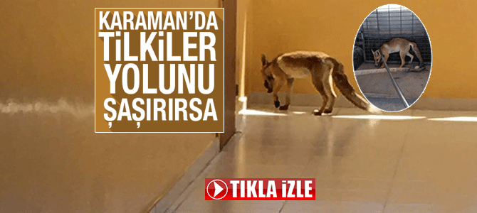 haber resim