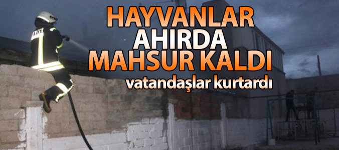 haber resim