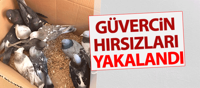 haber resim