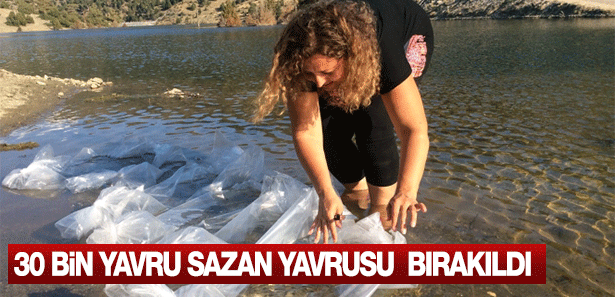 haber resim