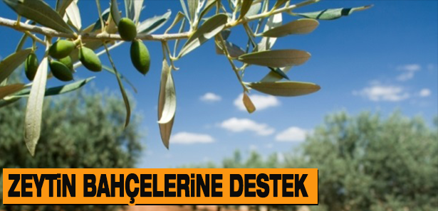 haber resim