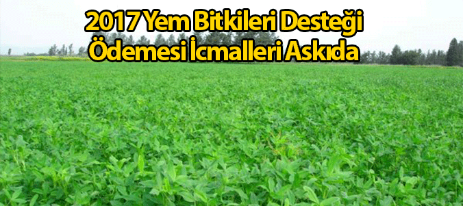 haber resim