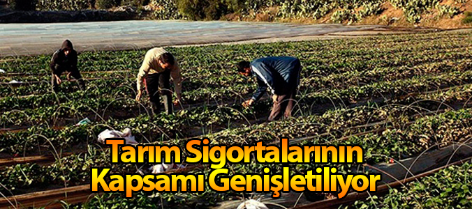 haber resim