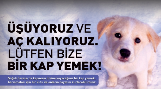 haber resim