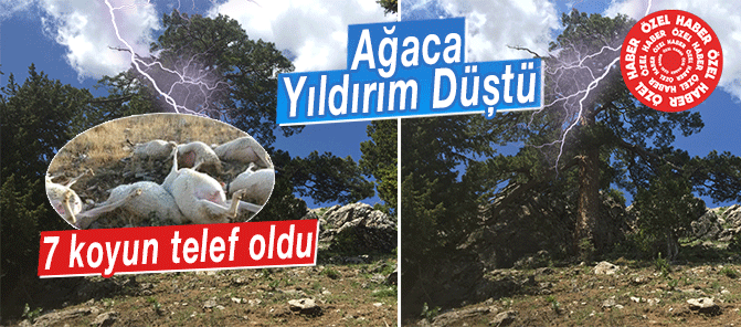 haber resim