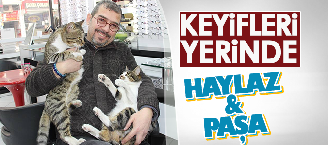 haber resim