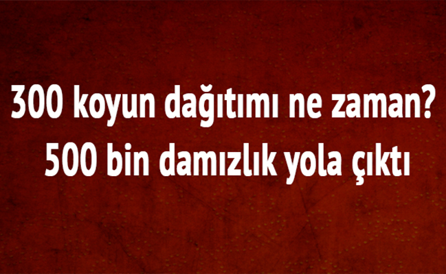 haber resim