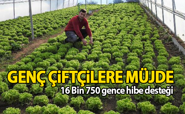 haber resim