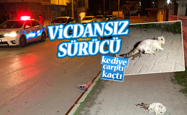 haber resim