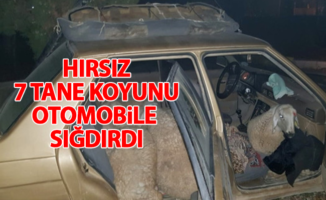 haber resim