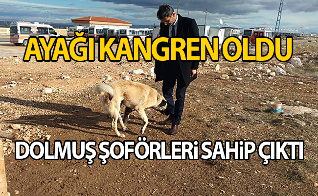 haber resim