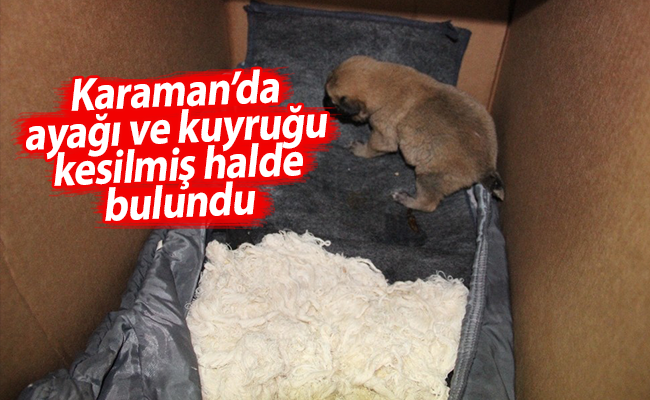 haber resim