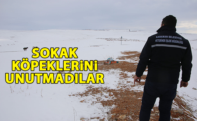 haber resim