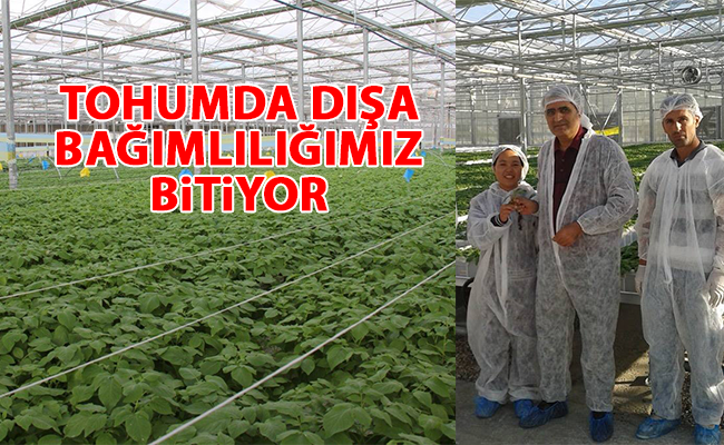 haber resim