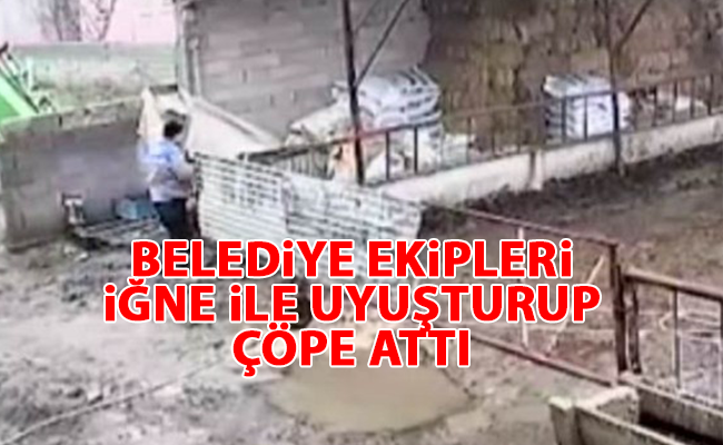 haber resim