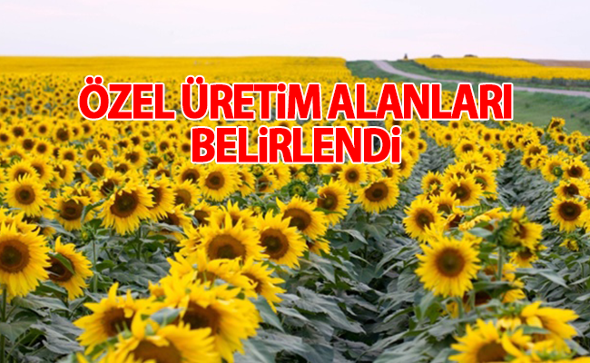 haber resim