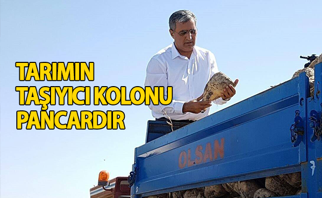 haber resim