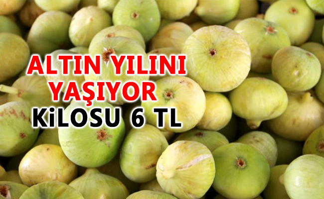 haber resim