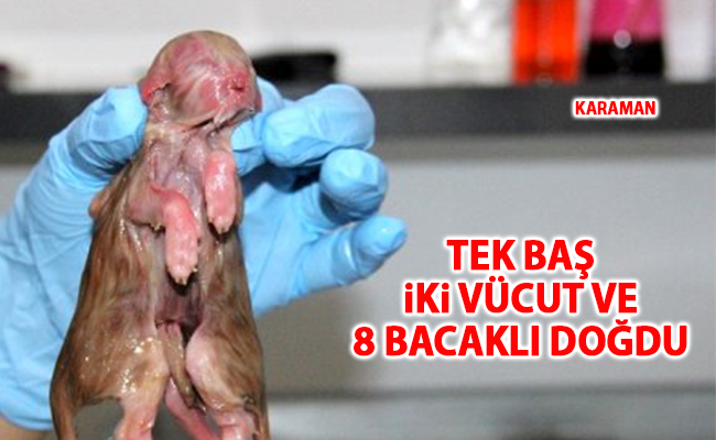 haber resim