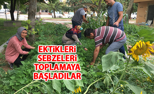 haber resim