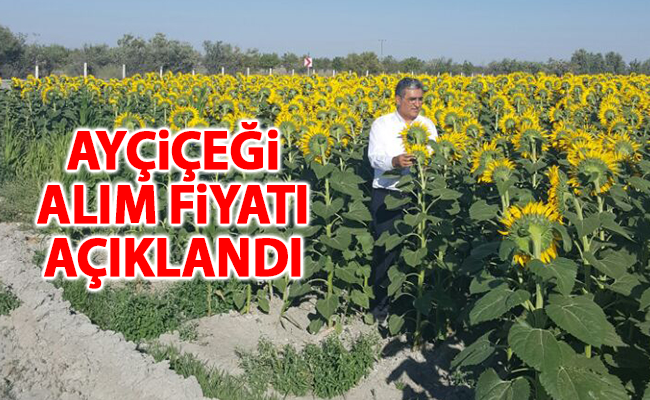 haber resim