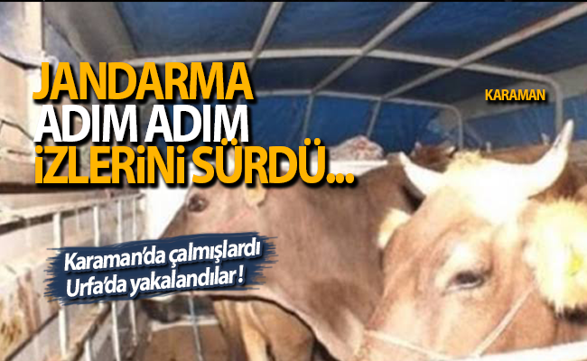 haber resim