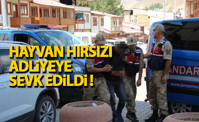 haber resim