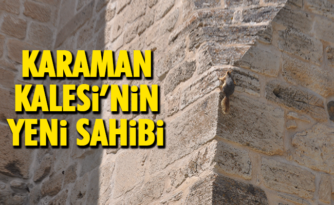 haber resim