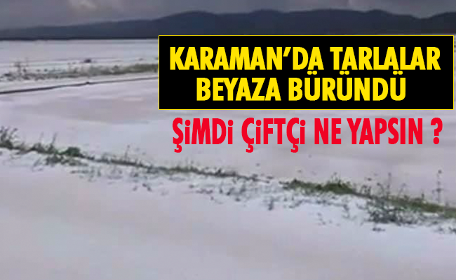 haber resim
