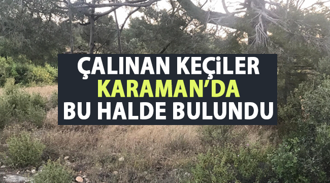 haber resim