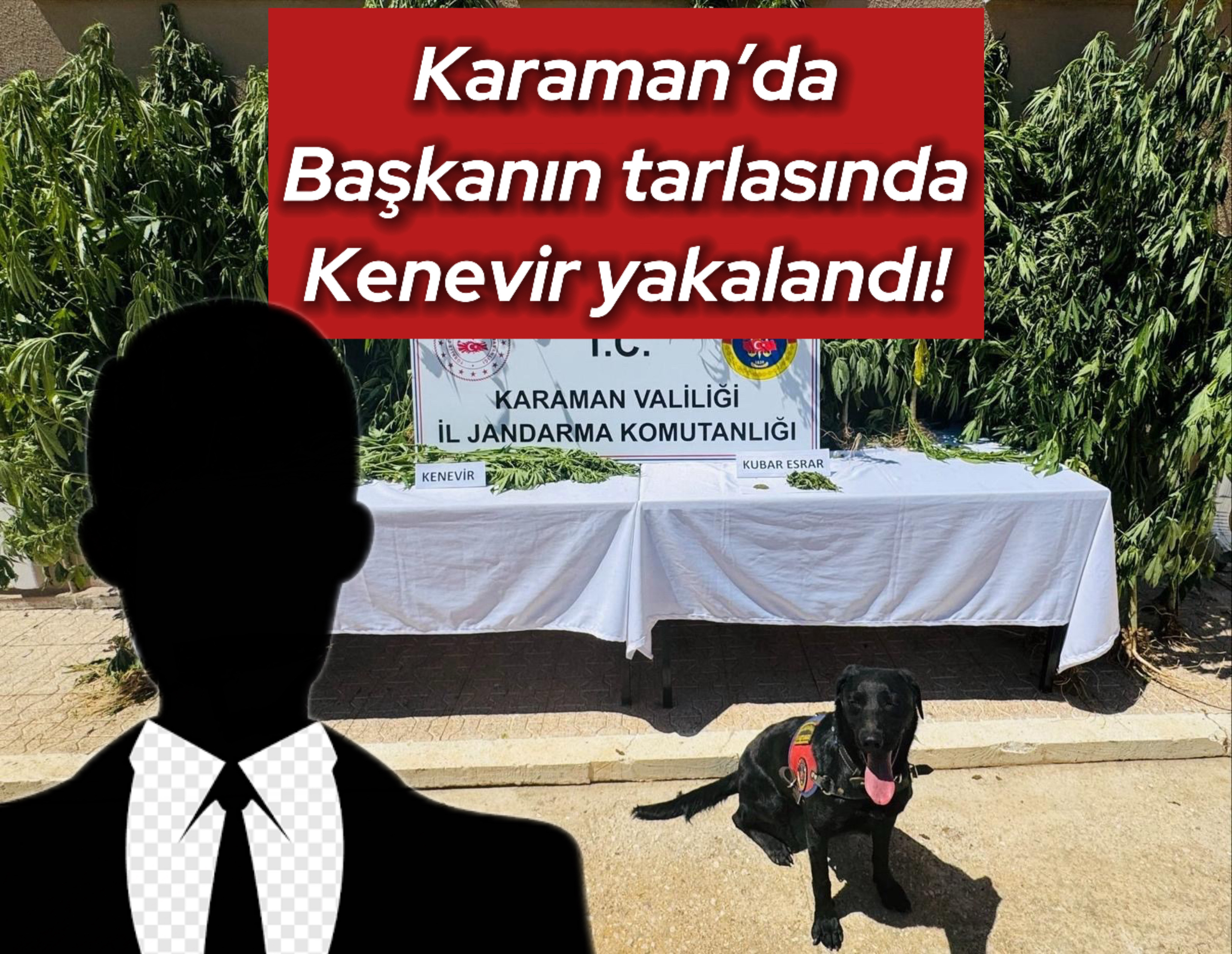 haber resim