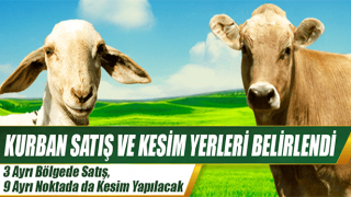 resim