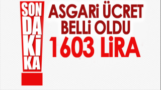 Resim