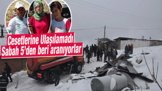 resim