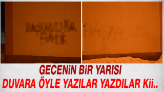 resim