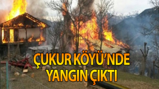 Resim