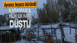 resim
