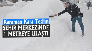 Resim