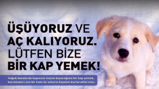 resim