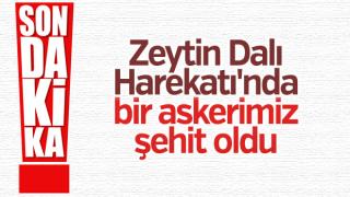resim