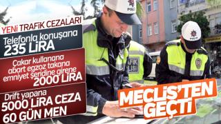 Resim