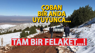resim