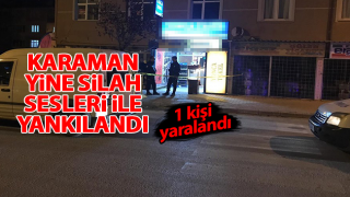 Resim