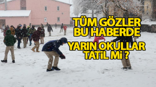 Resim