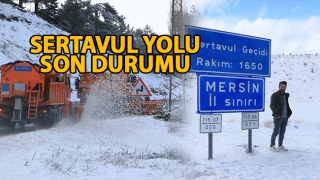 Resim