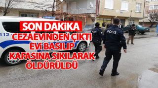 resim