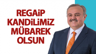 Resim