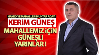resim